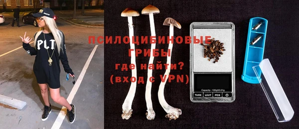 винт Аркадак