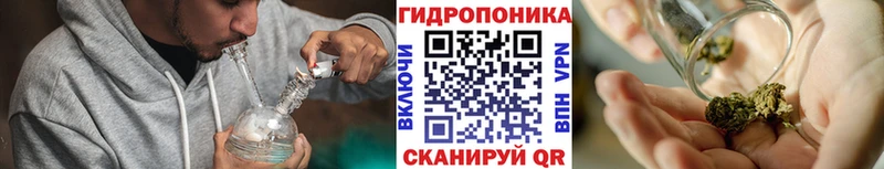 Конопля конопля  Купить  Можайск 